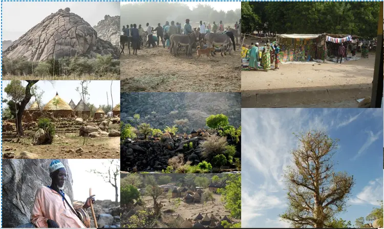 image galerie Pəlasla